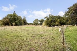 Photo 28- click for photo gallery